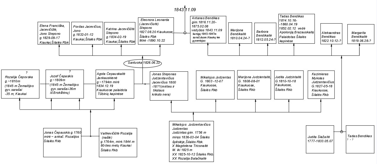 Jacevičių_-Eleonoros_Bendikienes_genealogija.jpg